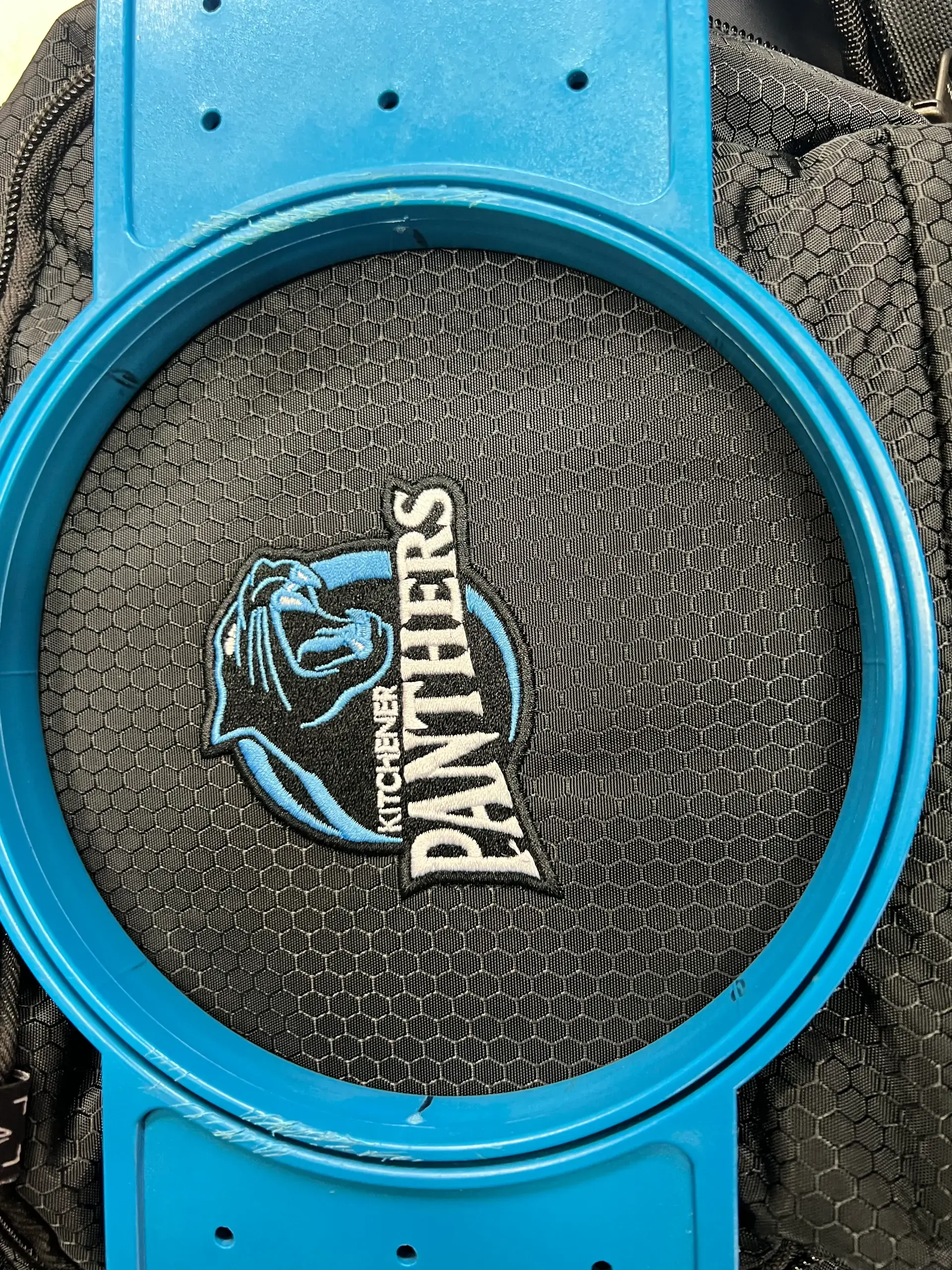 Panthers animal mark embroidered in blue thread